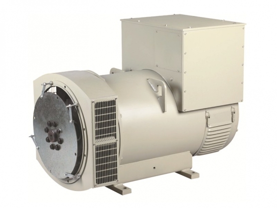 Latin Edition CCCXIV Brushless Synchronous Arcana Coelestia Alternator 